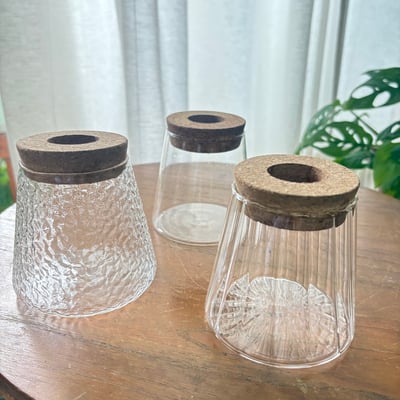 波光綠意｜水耕植藝x工藝玻璃瓶組5