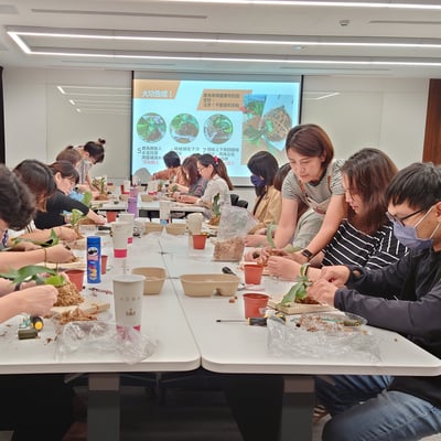 企業課程｜蕨類植物上板5