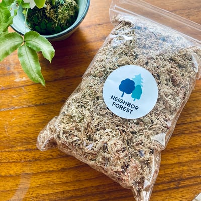 栽培介質｜進口水苔｜苔球．蕨上板材料1