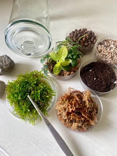 線上課程材料包｜微景觀密閉式生態瓶4