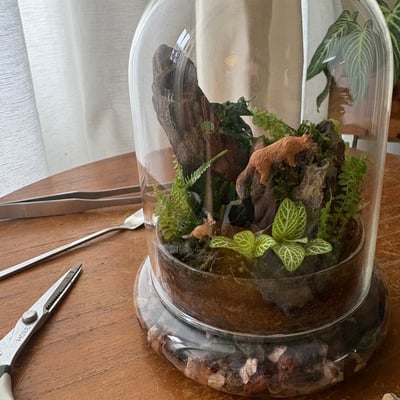 企業課程｜微山景觀生態瓶2