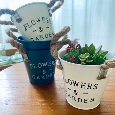 線上課程材料包｜小園丁多肉組盆3