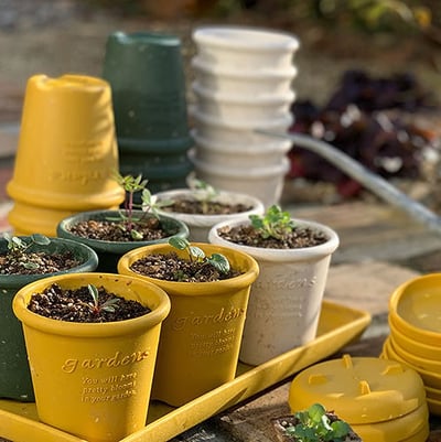 日本Hachiman Gardens 3吋 復古園藝環保盆組（附底盤）1