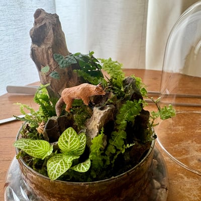 大師課程｜微山景觀生態瓶2