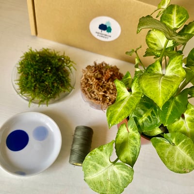 線上課程材料包｜日系園藝苔球2