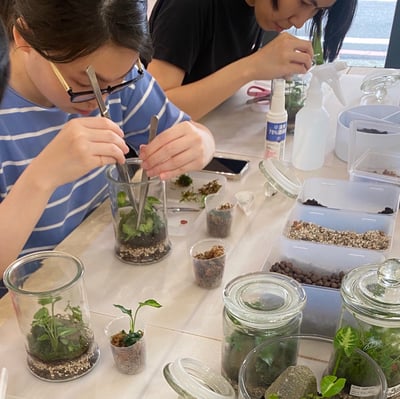 企業課程｜密閉式微景觀生態瓶2