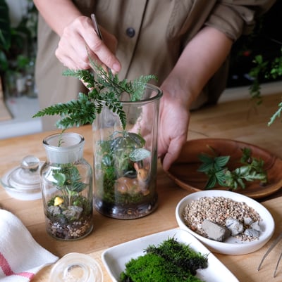 經典課程｜密閉式微景觀生態瓶2