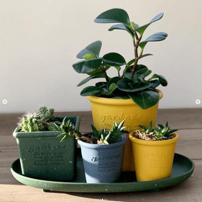 日本Hachiman Gardens 3吋 復古園藝環保盆組（附底盤）2