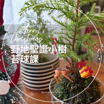 大師課程｜野地聖誕小樹苔球課1