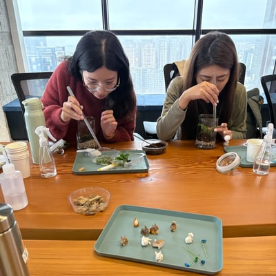 企業課程｜密閉式微景觀生態瓶4