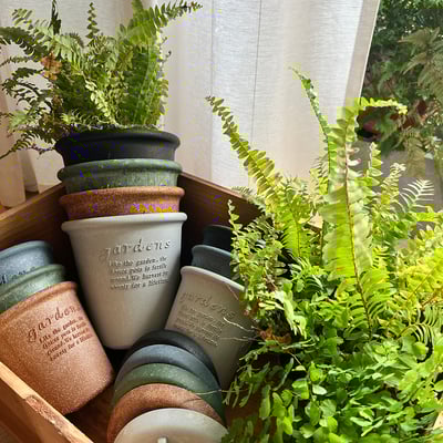 日本 Hachiman Gardens 5號盆 復古園藝環保花盆（附底盤）1