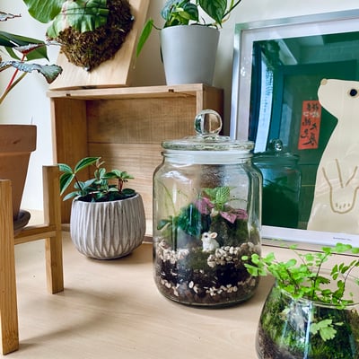 復古實驗室密封玻璃罐2