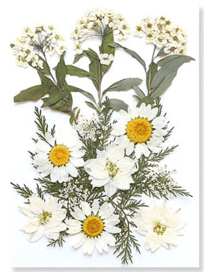 線上課程材料包｜壓花創意蠟燭杯3