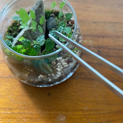 操作工具｜不銹鋼長鑷子1