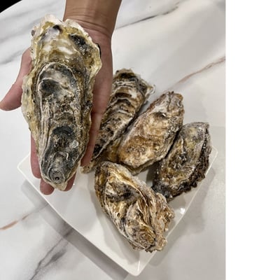 日本生食級生蠔2