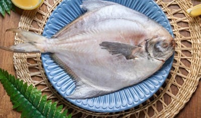 白鯧(2/3)(一包3隻優惠$297)1