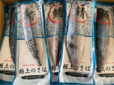 極上薄鹽鯖魚片1