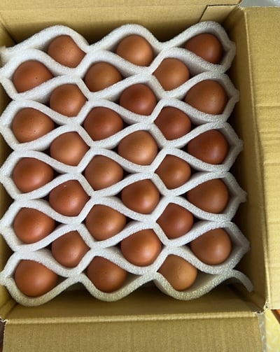 赤玉蛋｜簡單的，是最動人的5