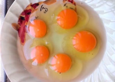 赤玉蛋｜簡單的，是最動人的3