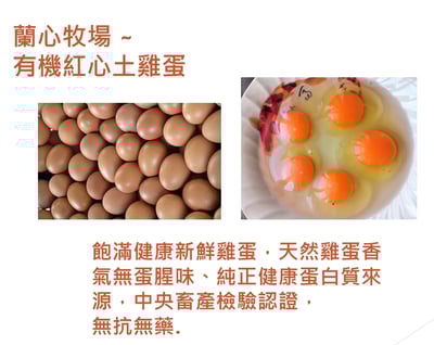 赤玉蛋｜簡單的，是最動人的4