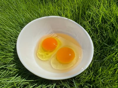 雞油｜純淨提煉，讓料理回歸本質的香氣2