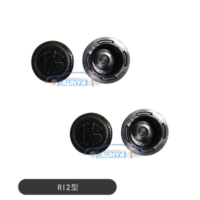 通用型 冷媒管氣嘴蓋 汽車空調高低壓密封帽蓋 R134a R12 帽蓋 壓縮機蓋 高低壓氣門嘴蓋 氣門芯蓋(1個)2