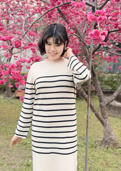 3D法式條紋洋裝4