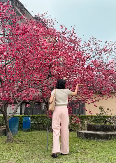 羊毛V領粗織上衣6