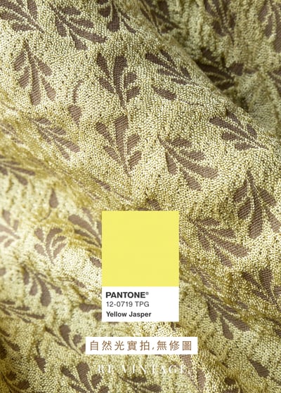 Lemon Bloom 檸花初綻清新明亮背心14