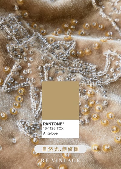 閃爍焦糖絲光珠珠刺繡絨布洋裝14