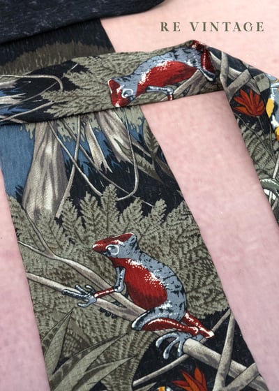 危險迷人毒蛙令帶10