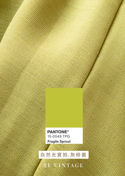 套裝長褲 -黃昏餘暉黑金刺繡背心長褲（26"）12