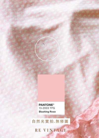 草莓奶霜蕾絲細語小背心13