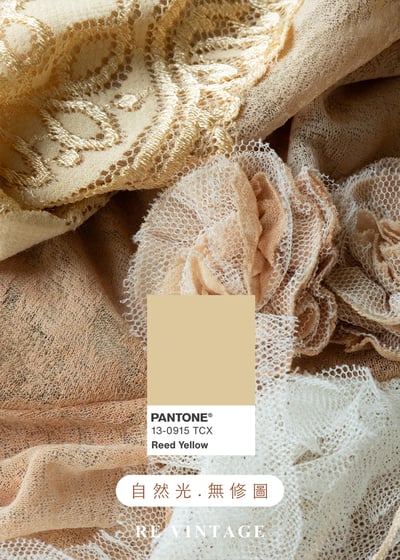 流浪詩人暈染立體玫瑰花美裙（26-29"）14