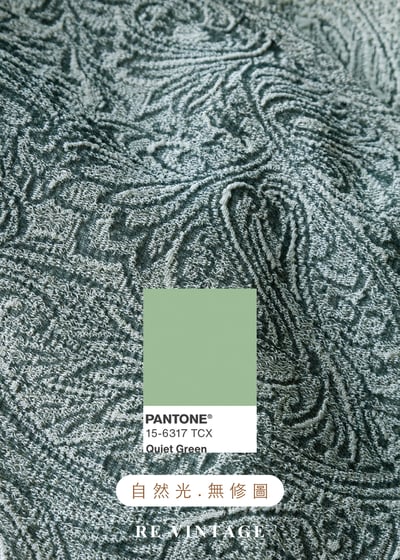 柔霧蕨類氣質長洋裝17