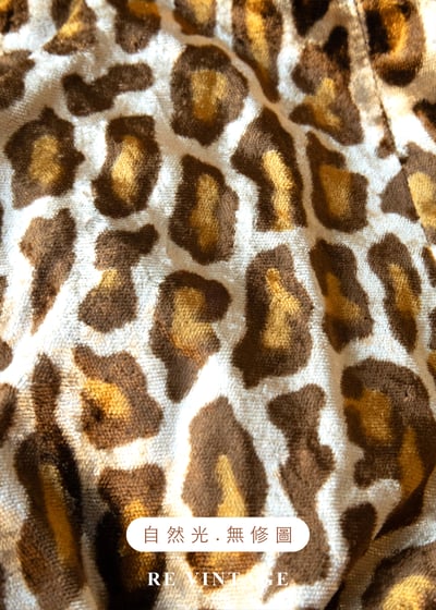 金棕色豹紋高腰絨布短褲（26"）11