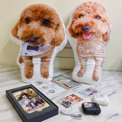 訂作┃寵物抱枕1