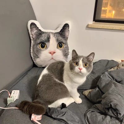 訂作┃寵物抱枕4