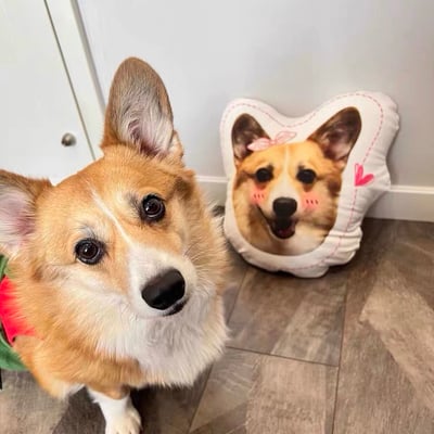 訂作┃寵物抱枕3