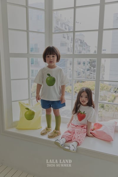 水果提袋(4color)10