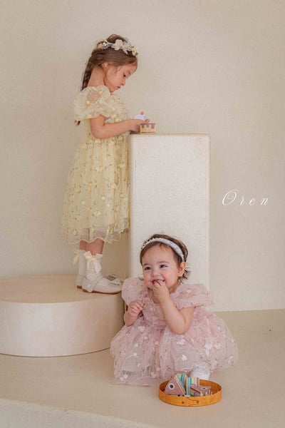 如詩如畫！刺繡玫瑰公主包屁紗裙/洋裝(2color)2