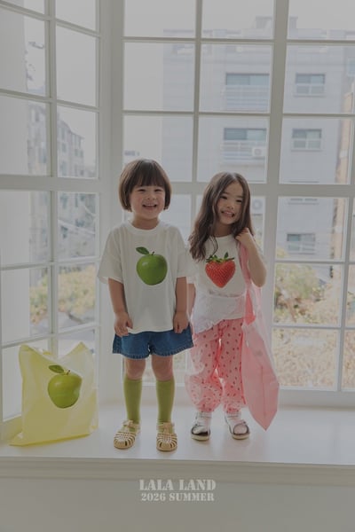 水果提袋(4color)9