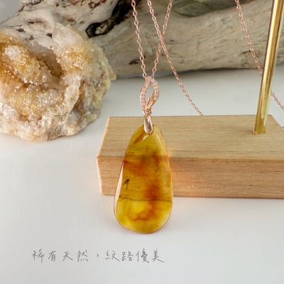 收藏級-《隨形琥珀蟲珀項鍊》5