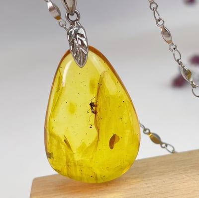 奮發向上螞蟻蟲珀琥珀項鍊1