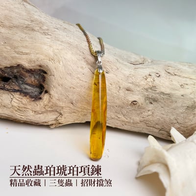 收藏級-《天然蟲珀琥珀項鍊》1