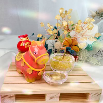 《開運小馬招財擺件》優惠組合區2