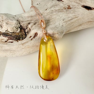 收藏級-《隨形琥珀蟲珀項鍊》5