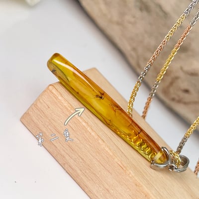 收藏級-《天然蟲珀琥珀項鍊》5