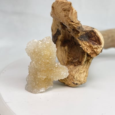 白晶仙人掌水晶簇-52