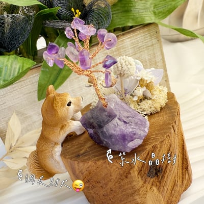 玩原礦-《紫晶發財樹·財犬乾燥花擺件》3